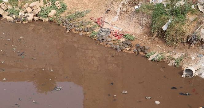 Kızıltepeliler Zergan Deresinin temizlenmesini istiyor