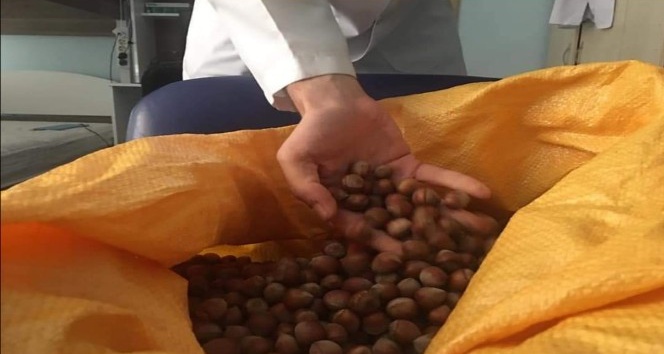 Giresun’dan İstanbul’daki sağlık çalışanlarına fındıklı motivasyon