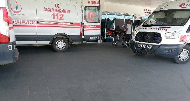 Bingöl’de tarım işçilerini taşıyan minibüs devrildi: 20 yaralı