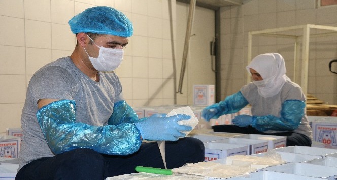 Gerçek Ezine peyniri nasıl anlaşılır