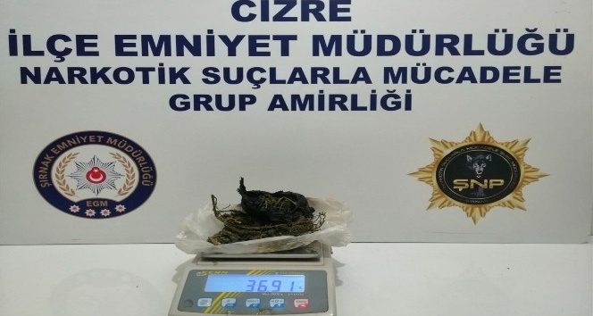Şırnak’ta kaçakçılık operasyonu: 49 gözaltı