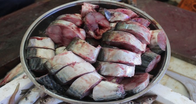 Palamut büyüdükçe fiyatı da artıyor