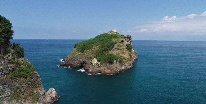Ordu'nun kuş cenneti: 'Hoynat Adası'
