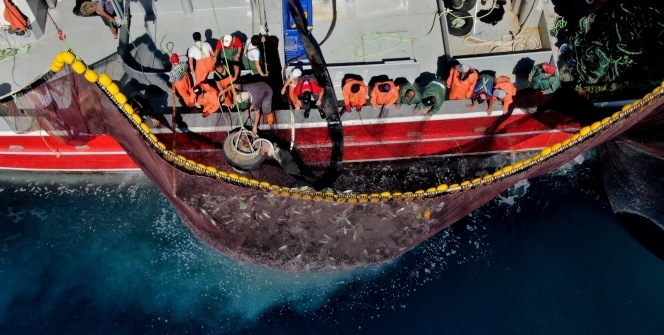 Ekmeklerini sudan çıkaranlar