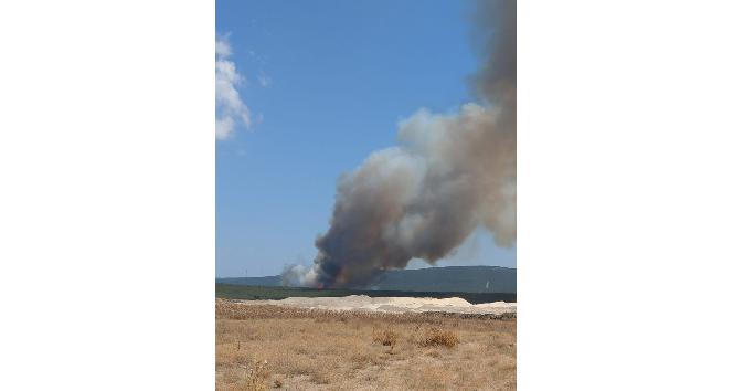 Gelibolu’da orman yangını
