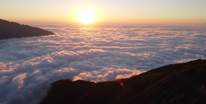 Artvin’de Nopapeni Yaylası bulut deniziyle ziyaretçilerini büyülüyor