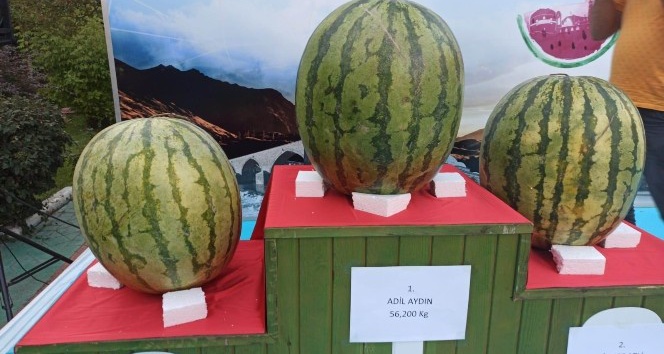 Diyarbakır’da son 70 yılın en ağır karpuzu yetiştirildi