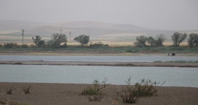 Serinlemek için girdiği Kızılırmak’ta akıntıya kapılarak kayboldu