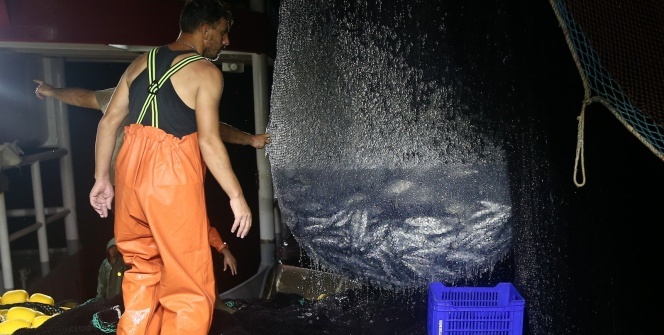 Karadeniz’de palamut bereketi