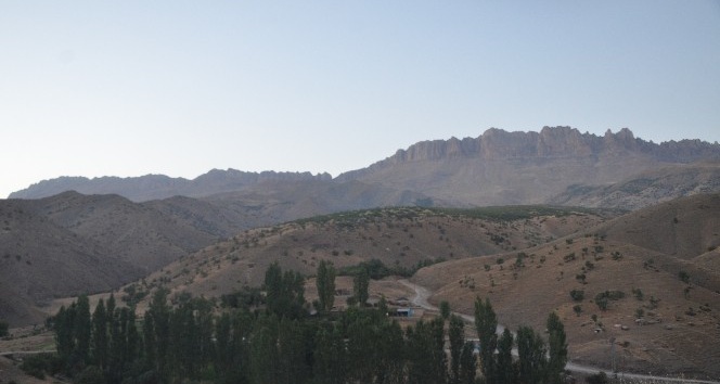 Şırnak’ta terör örgütü PKK’ya darbe