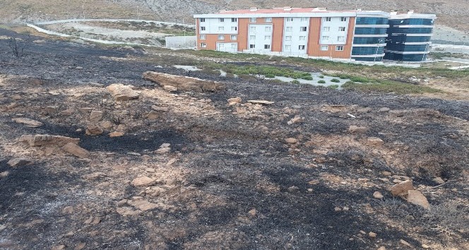 Gökçeada’daki yangın  söndürüldü