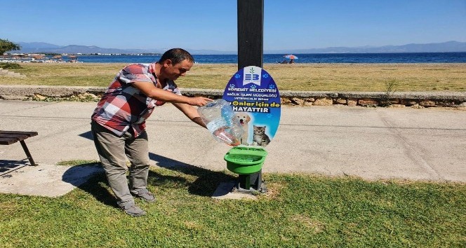 Su onlar için de hayattır