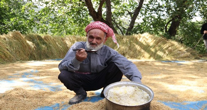 Hizan’da üretilen çeltik 150 yıllık değirmende öğütülüyor