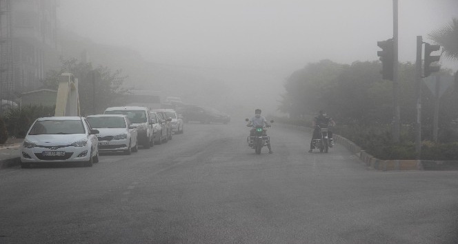 Kilis’te yoğun sis etkili oldu