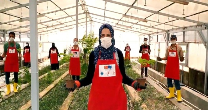 Fide ve Fidan yetiştiriciliği eğitimi gerçekleştiriliyor