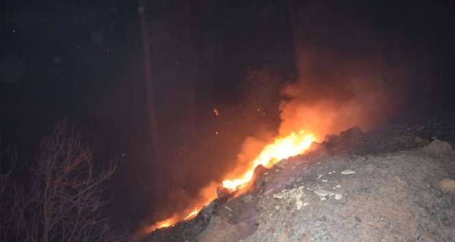 Antalya&#039;daki orman yangınının ilerlemesi durduruldu