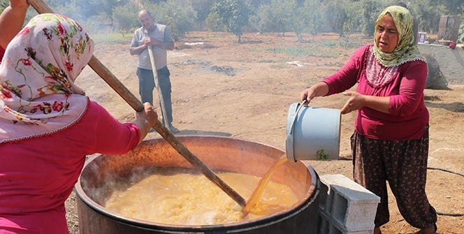 Üzümün bağlardan damlara lezzetli yolculuğu