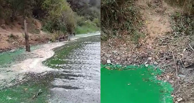 Sultangazi’de baraj suyu yeşile döndü - Kimyasal atıklar baraj suyunun rengini değiştirdi