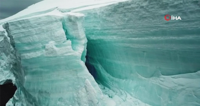 &#039;Gezegenin kara kutusu: Antarktika&#039; belgeseli gün sayıyor