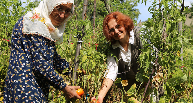 Artvin’de kadınlar kooperatif kurdu, doğal ürünlerin satışını yapmaya başladı