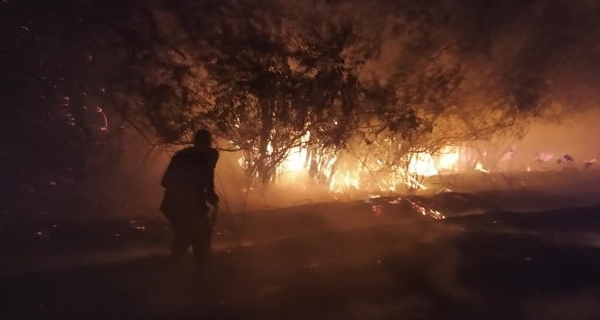 Bingöl’de yangın, bazı ağaçlar zarar gördü
