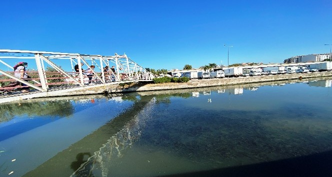 Çanakkale’den binlerce kefal sürüsü merak uyandırdı