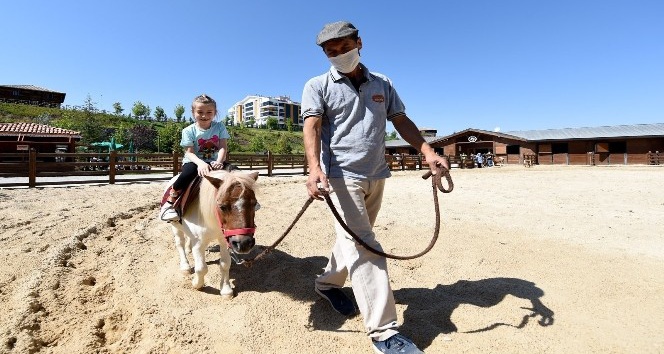 Altınköy Açık Hava Müzesi içerisinde açılan "At Çiftliği"ne yoğun ilgi