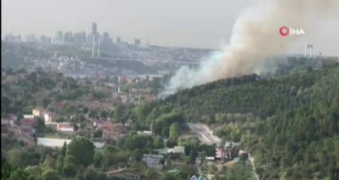 Anadolu Hisarı’nda korkutan orman yangını