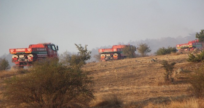 Bolu’da, 40 hektarlık alanda etkili olan orman yangını kontrol altına alındı