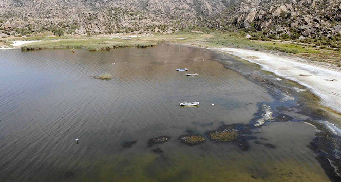 Bafa Gölü&#039;ndeki balık ölümleri araştırılıyor