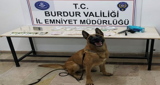 Uyuşturucular narkotik köpeği Sarik’e takıldı