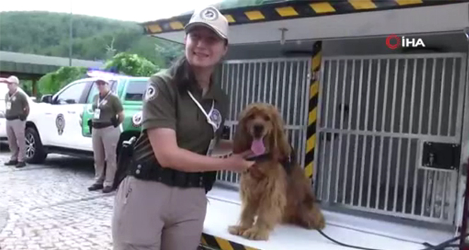 İçişleri Bakanlığı ekipleri hayvan hakları ihlalleri için sahada