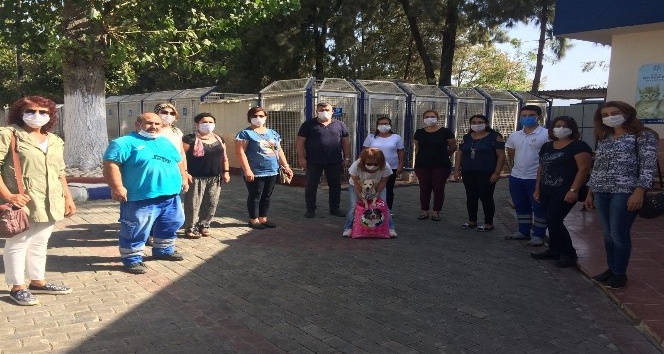 Aydın’da hayvanat bahçesi ve barınaklar ziyaretçi akınına uğradı