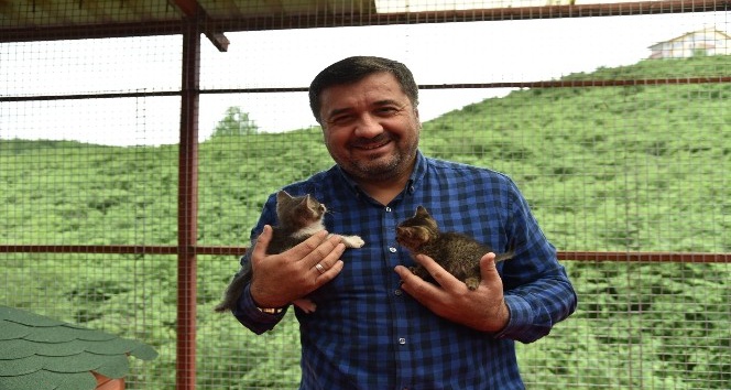 Giresun Belediyesi Hayvan Barınağı, sokak hayvanlarına güvenli bir barınak oluyor
