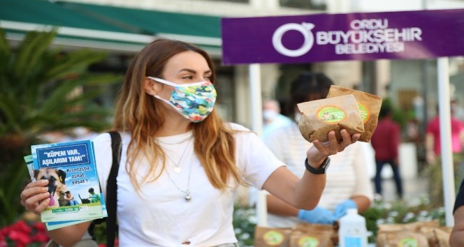 Kuzey Yıldızı’ndan sokak hayvanlarına şefkat