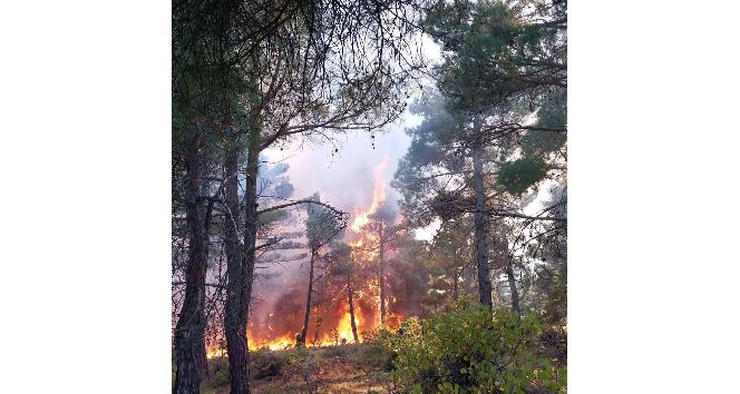 Karaman’daki orman yangını söndürüldü