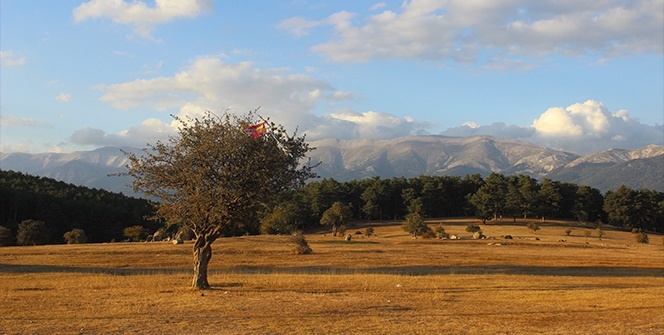 Bu yaylada konaklayan mutlu uyanıyor