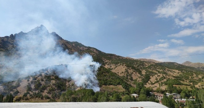Şemdinli’de orman yangını