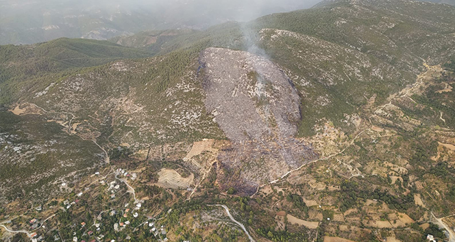 Alanya&#039;daki orman yangınında 6 hektarlık makilik alan zarar gördü