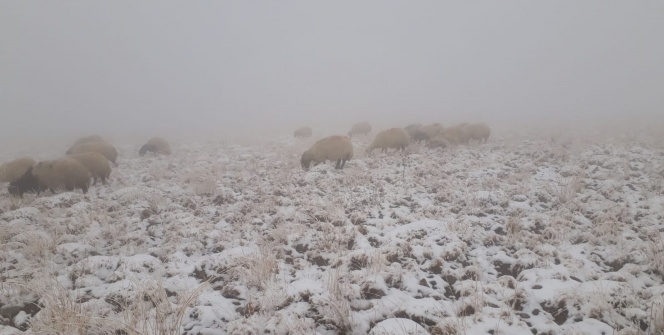 Başkale’de yılın ilk karı yağdı