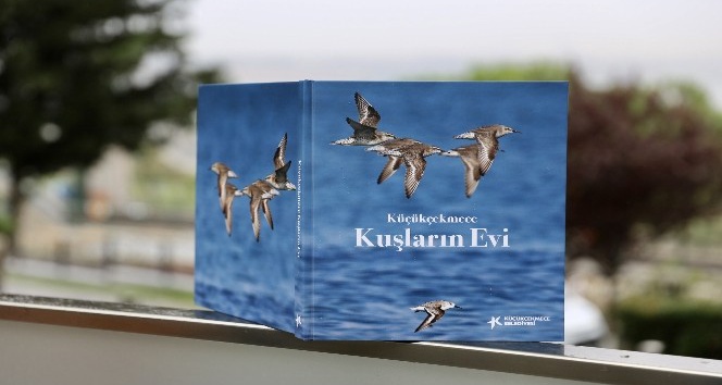 Küçükçekmece Gölü’nde yaşayan 166 kuş türü kitapta toplandı