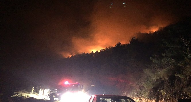 Kastamonu’da yangın yerleşim yerlerini tehdit ediyor