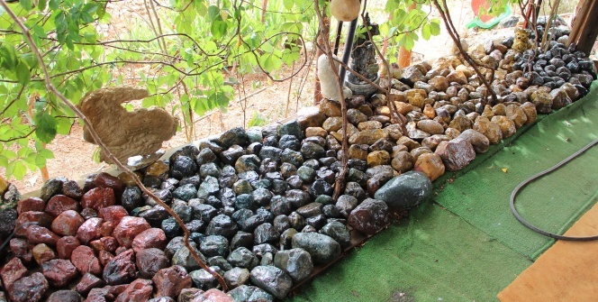 Çiftçinin 'Taş' gibi sıra dışı koleksiyonu