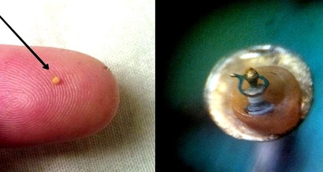 Kuşadası’nda milimetrik boyutlarda 42 mikro minyatür eser sergileniyor