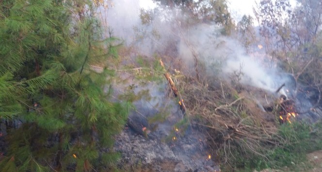 Kahramanmaraş’taki orman yangını kontrol altına alındı
