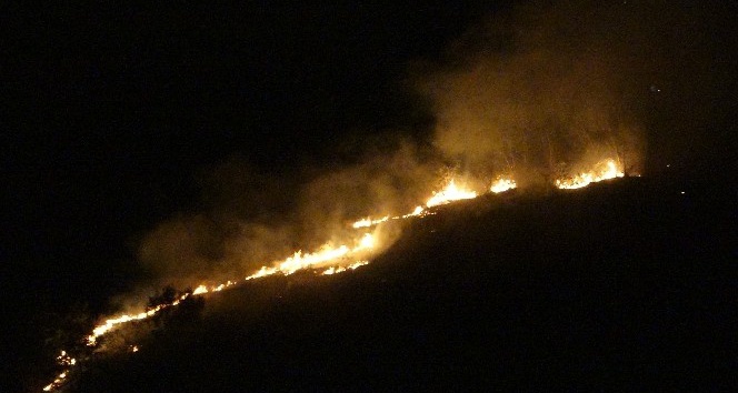 Trabzon’un Akyazı mahallesinde örtü yangını