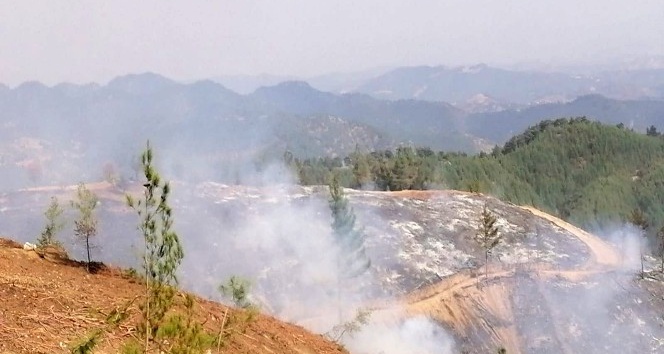 Kahramanmaraş’taki yangınlarda 65 hektar orman alanı zarar gördü