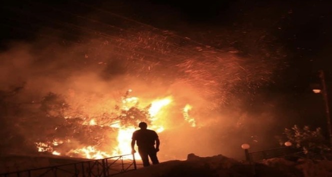 Suriye’deki orman yangını kontrol altına alındı