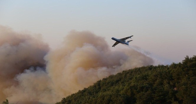 Hatay’daki orman yangınında 300 hektar alan zarar gördü