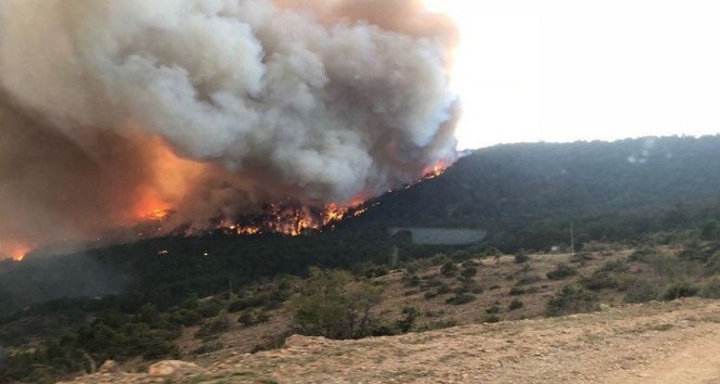 Bolu’da 45 orman yangınında 180 hektar alan zarar gördü